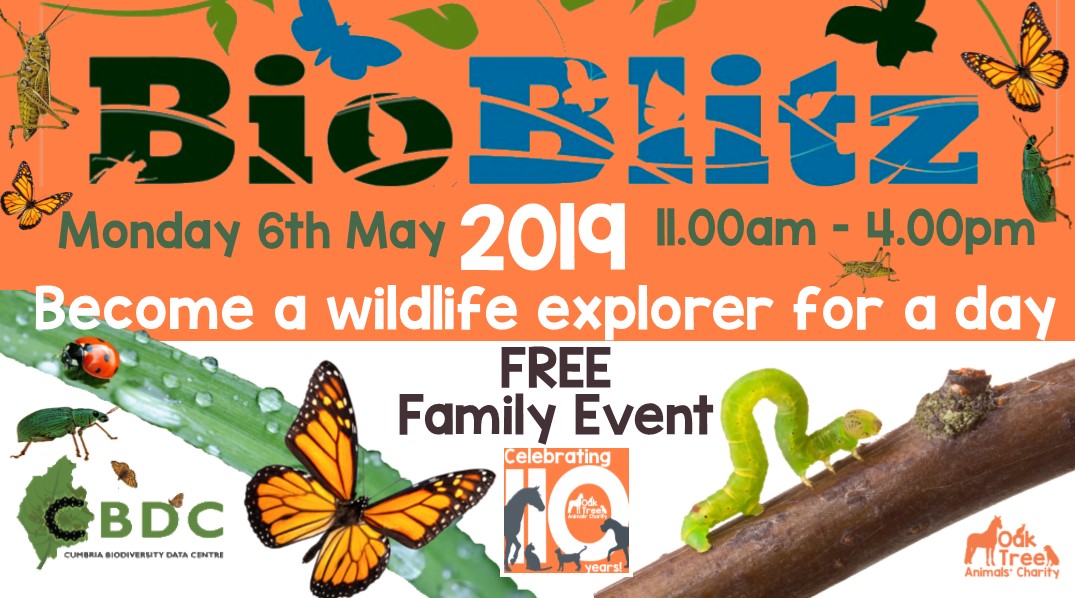 Bioblitz Oak Tree Animals� Charity Cumbria Animal Rescue Helping
