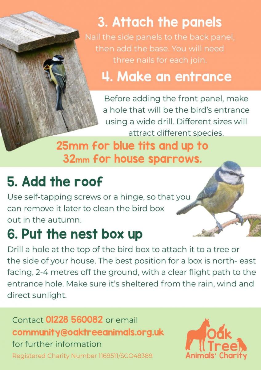 Celebrating Bird Box Week! - Oak Tree Animals' Charity - Cumbria Animal Rescue - Helping local animals in need! Celebrating Bird Box Week! - Oak Tree Animals' Charity - Cumbria Animal Rescue - Helping local animals in need!