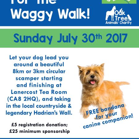 It's Waggy Walk Time Again!! 