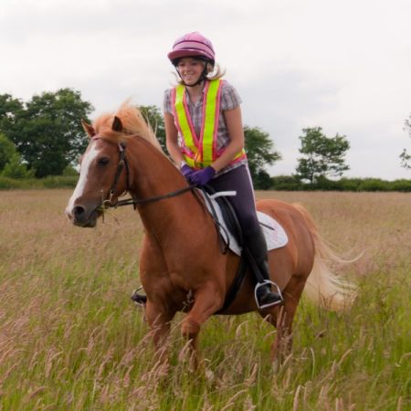 Staying safe with your horse