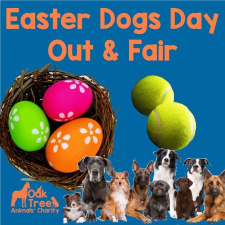 Online Easter Fair Dogs Day Out - New Date! 