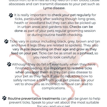 Ticks - Keeping Your Dog Safe