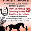 AUGUST 22nd USE for PRINT Pony Fun Day Poster.jpg
