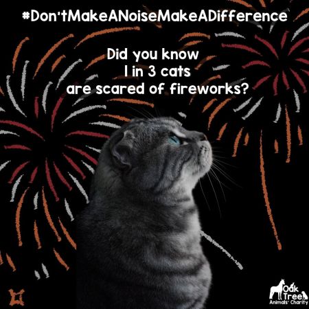 Don't Make a Noise Make a Difference