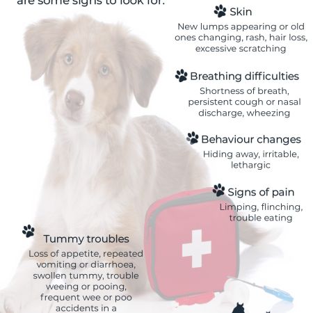 How to tell if you dog is ill