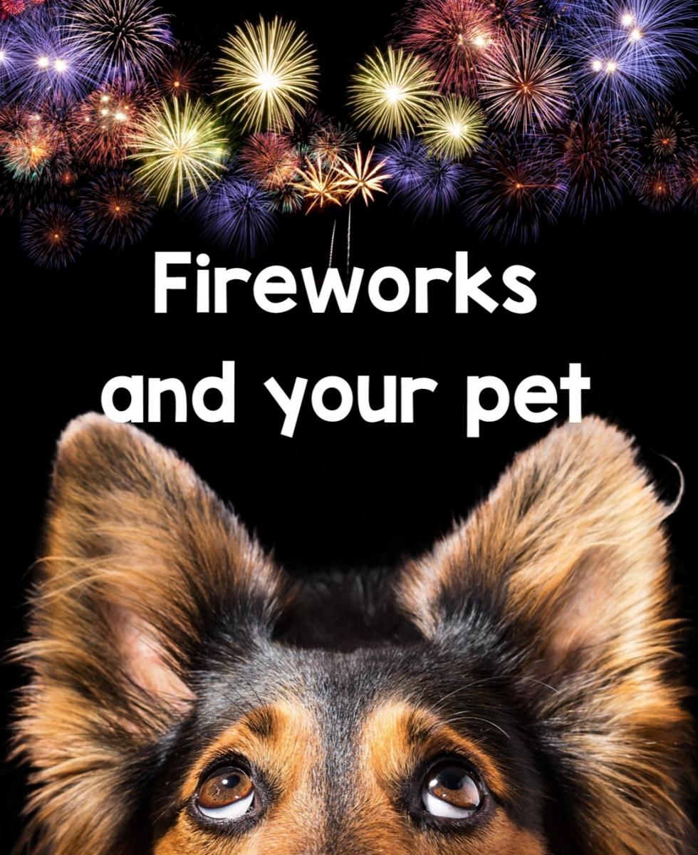 Fireworks and your Pets Oak Tree Animals� Charity