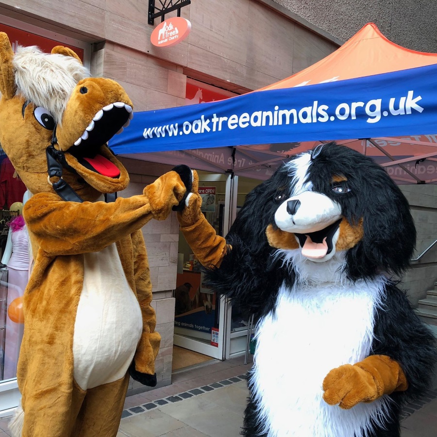 Carlisle Oak Tree Animals' Charity Cumbria Animal