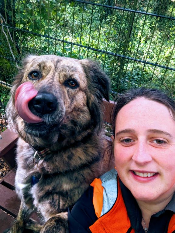 Oak tree animal sales rescue